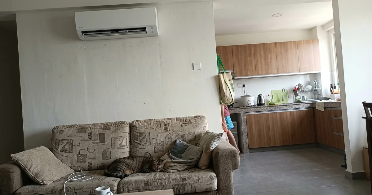 Living room aircon above a sofa with a cat and an open-plan kitchen behind